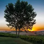 La Nuova - * 莫罗达尔巴