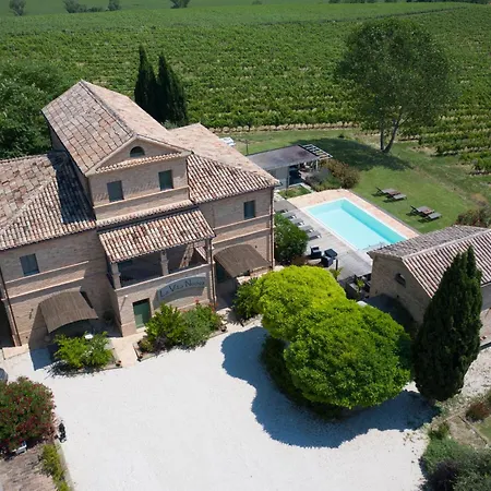 La Nuova - 莫罗达尔巴