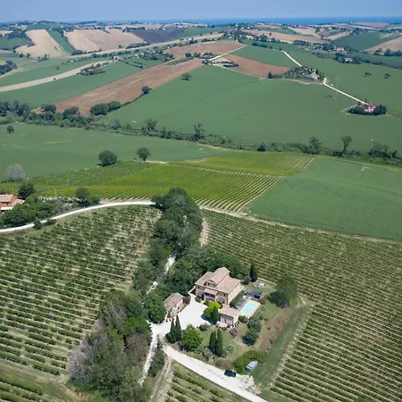 La Nuova - *